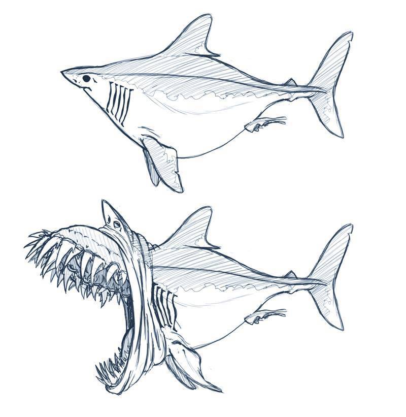 Как нарисовать акулу | рисунок акулы поэтапно карандашом