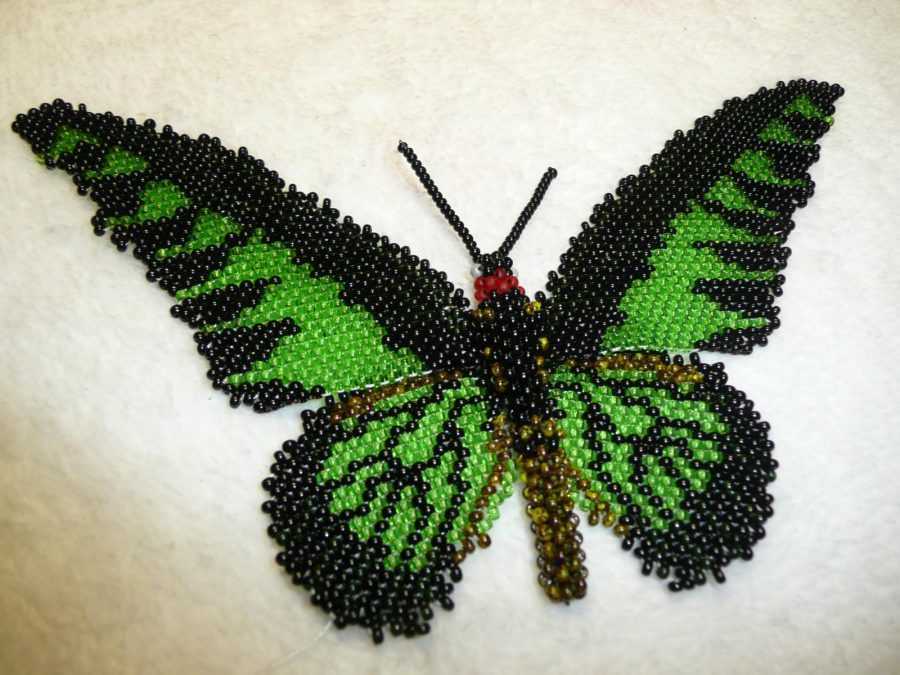 Бабочка из бисера своими руками со схемами, фото и видео