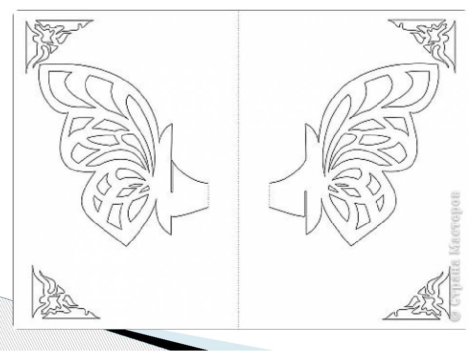 Как сделать бабочку из бумаги своими руками? как сделать красивых бабочек из цветной бумаги на стену? как сделать объемную бабочку поэтапно?
