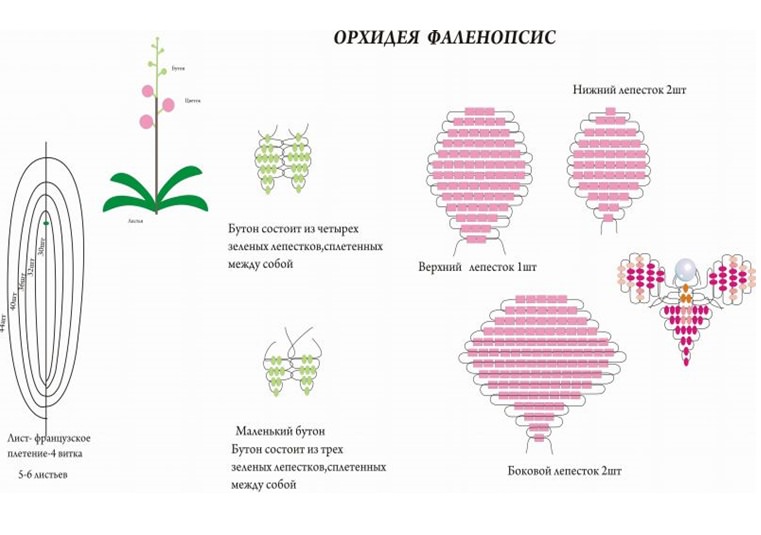 Орхидея из бисера (125 фото): схемы плетения с описанием, как сделать красивые цветы из бисера своими руками пошагово