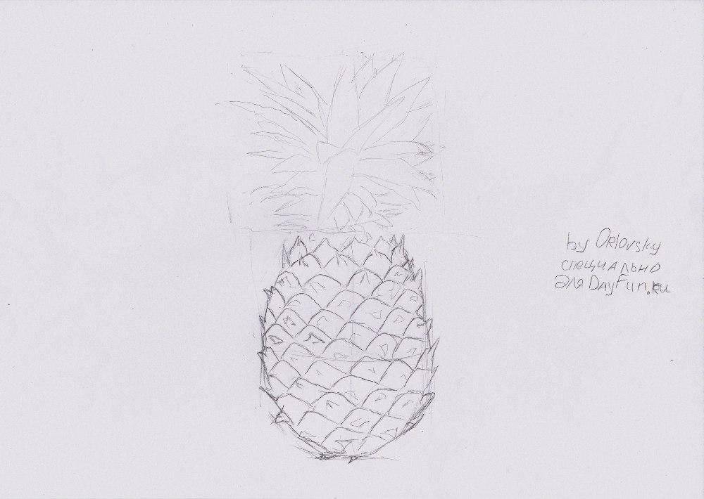Как нарисовать ананас: поэтапное руководство с рисунками для детей, начинающих и профи