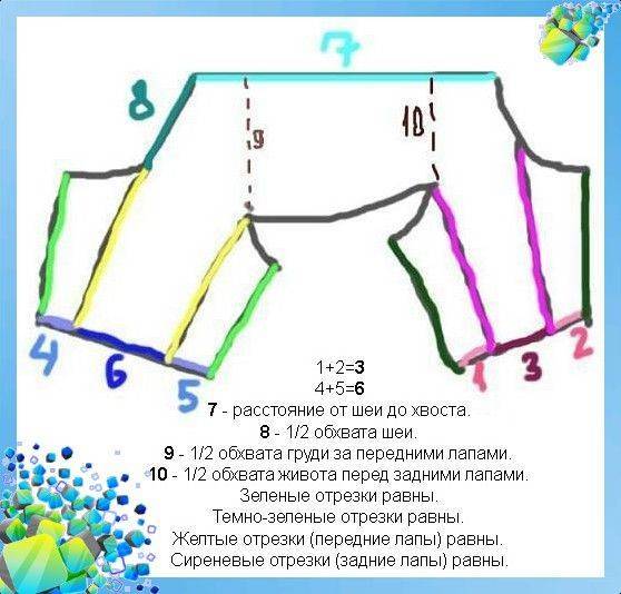 Чем отличается комбинезон для собаки мальчика и девочки