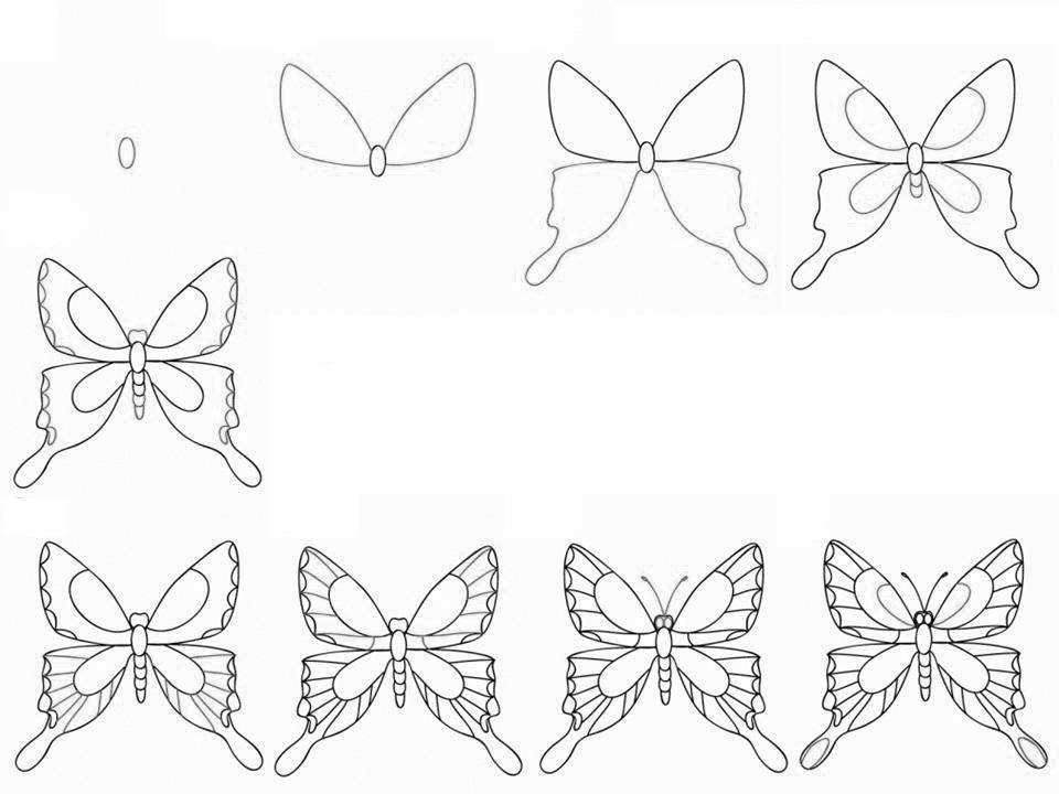 Как нарисовать бабочку карандашом поэтапно для детей
