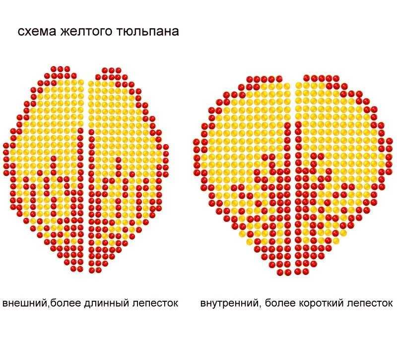 Тюльпан из бисера схема плетения с пошаговым