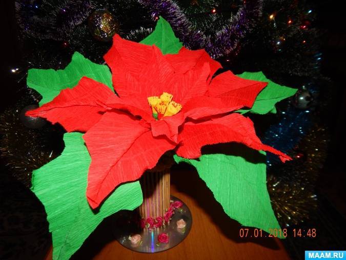 Цветы из бумаги своими руками: пуансеттия для новогодних скрап-открыток. цветок пуансетия: как ухаживать, размножение пуансетии, уход, фото цветок пуансеттии из шерсти мк