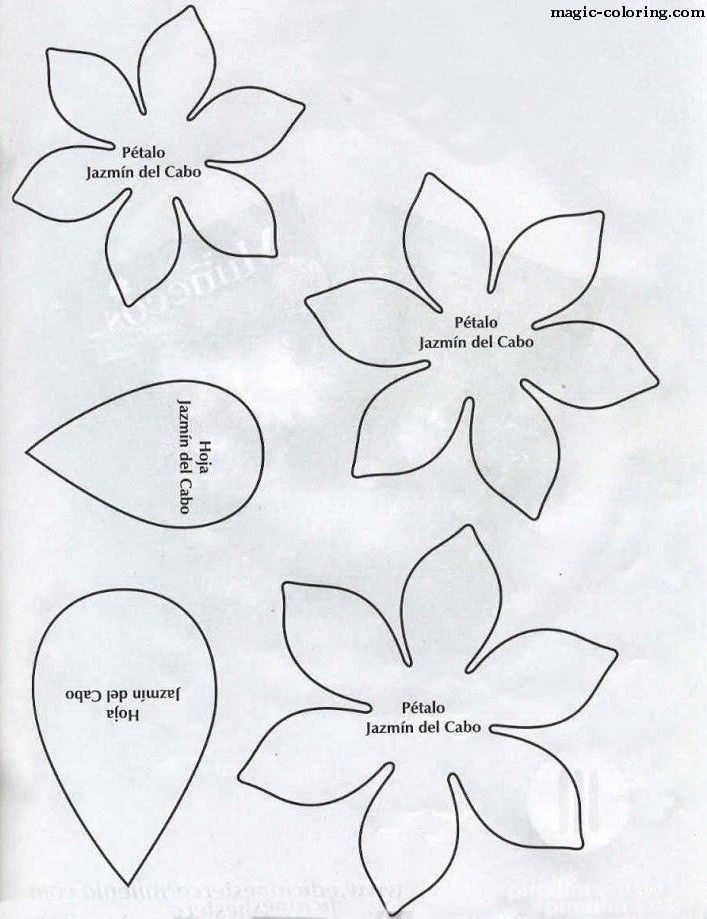 Цветы из фоамирана. как сделать цветы из фоамирана + схемы, шаблоны