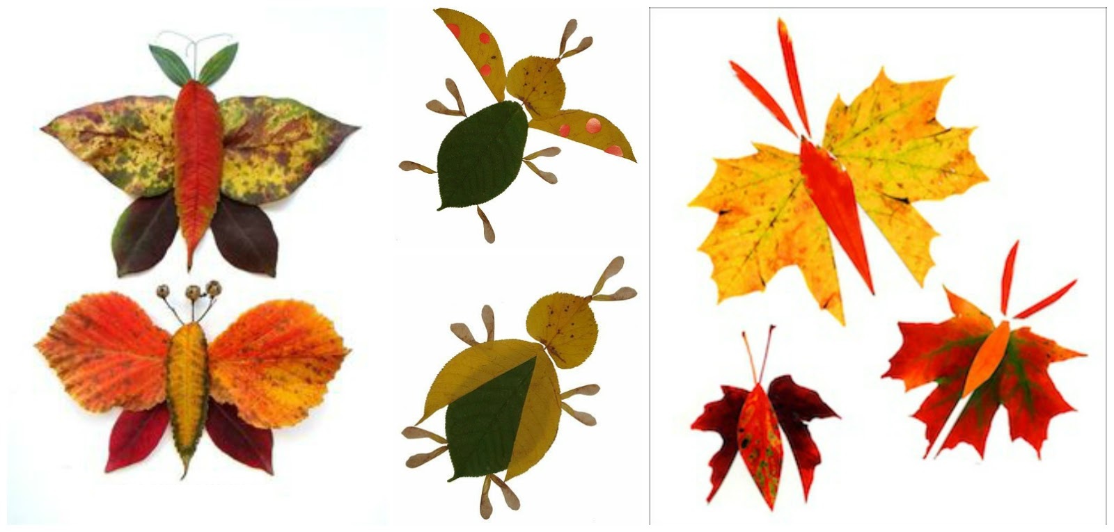 Аппликация бабочка из цветной бумаги — подборка простых и сложных мастер-классов для начинающих с фото примерами