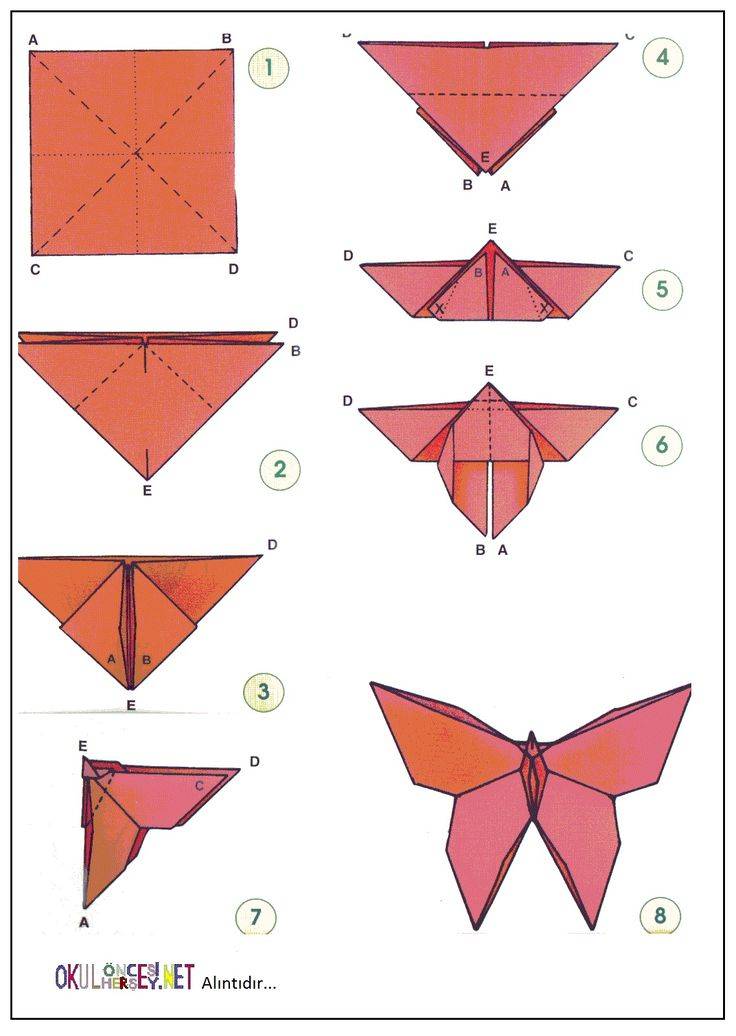 Как сделать бабочку из бумаги: 7 легких схем оригами, пошаговые фото и видео